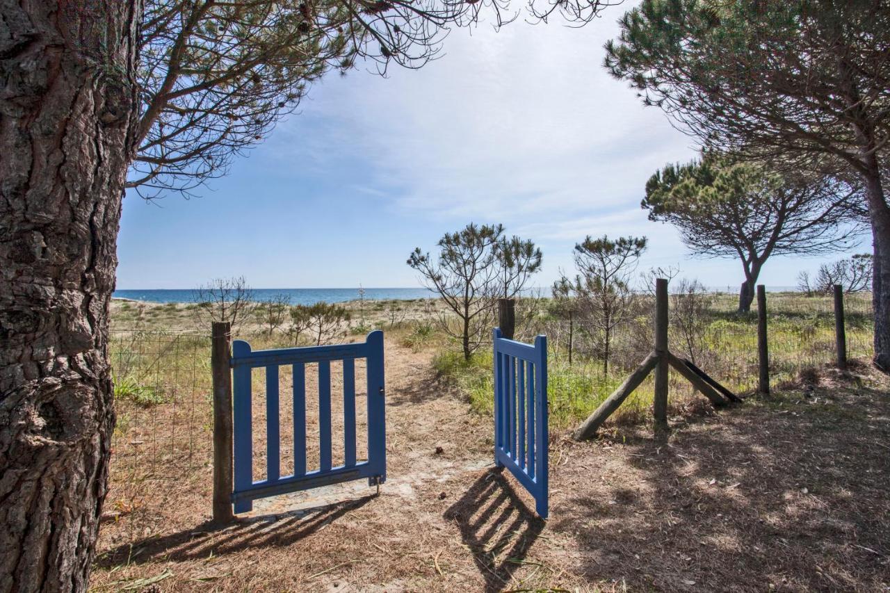 Pinarellu Maisons Bord De Mer- Marine De Sorbo - Gites 3 Epis מראה חיצוני תמונה