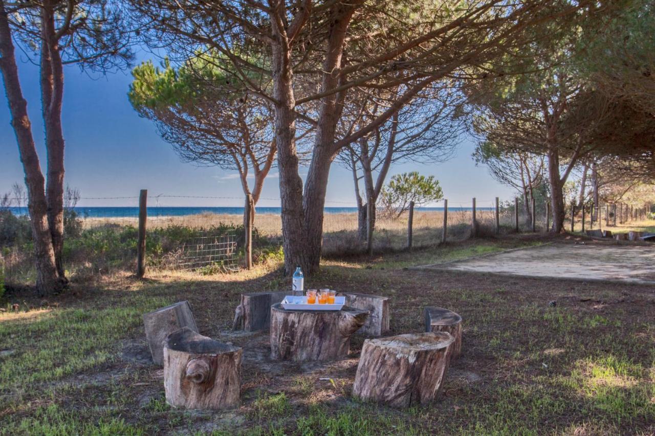 Pinarellu Maisons Bord De Mer- Marine De Sorbo - Gites 3 Epis מראה חיצוני תמונה