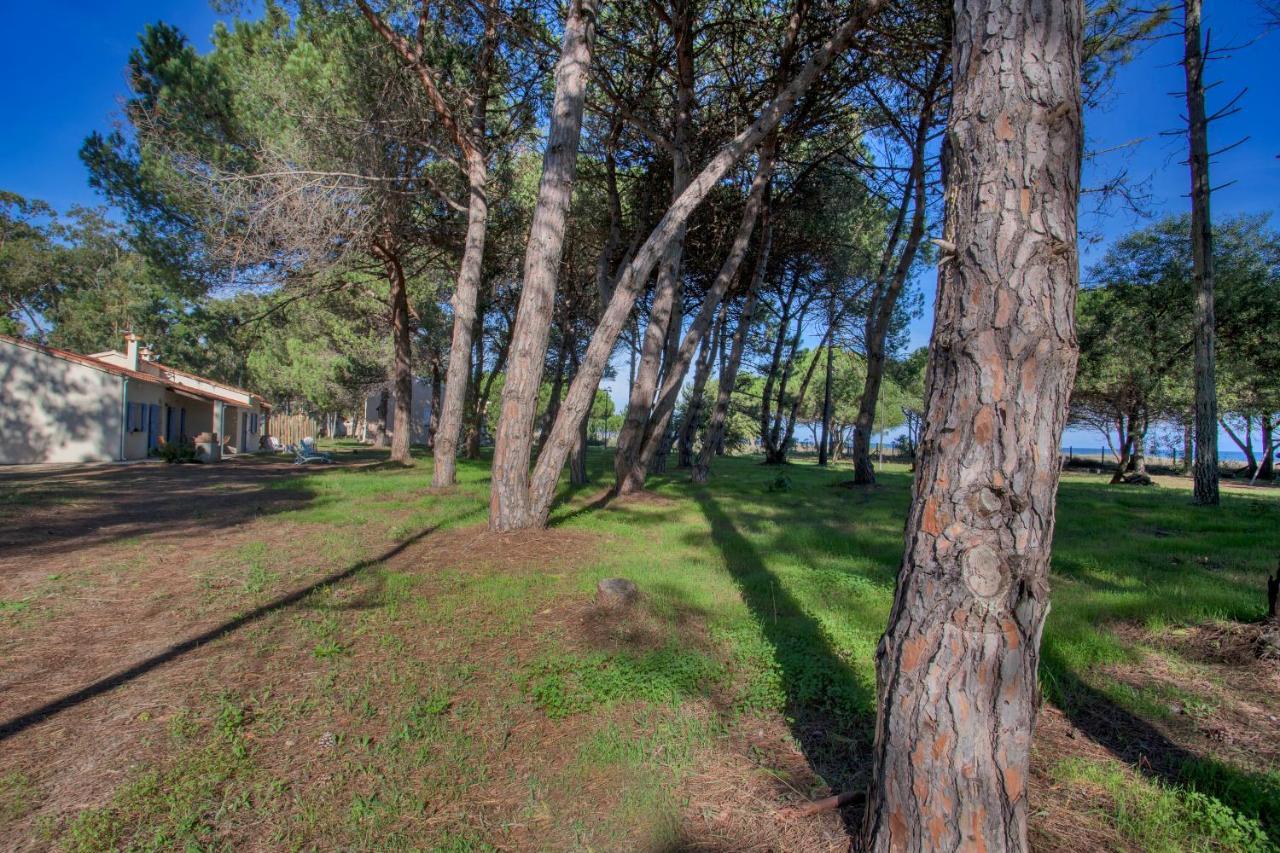 Pinarellu Maisons Bord De Mer- Marine De Sorbo - Gites 3 Epis מראה חיצוני תמונה