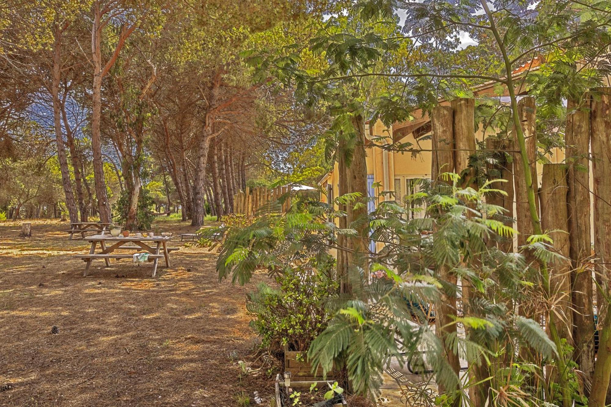 Pinarellu Maisons Bord De Mer- Marine De Sorbo - Gites 3 Epis מראה חיצוני תמונה